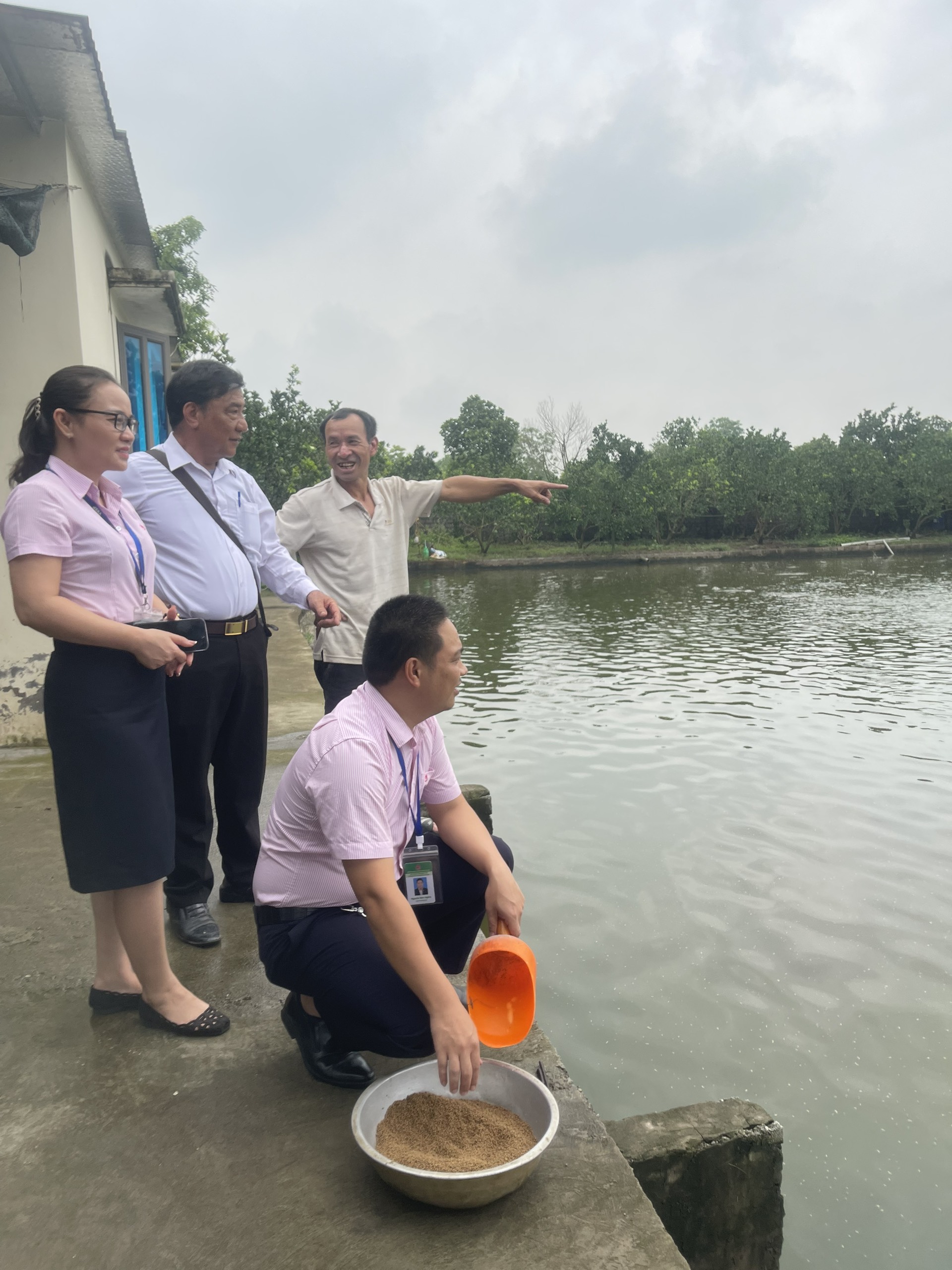   Hơn 270 tổ Tiết kiệm và vay vốn của Ngân hàng CSXH hoạt động hiệu quả